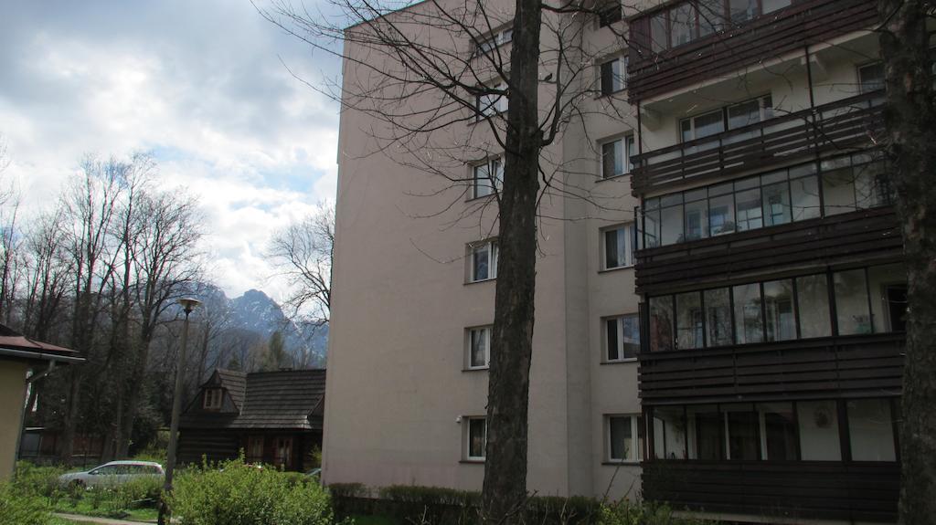 דירות זקופאנה Apartament Krupowki Center חדר תמונה